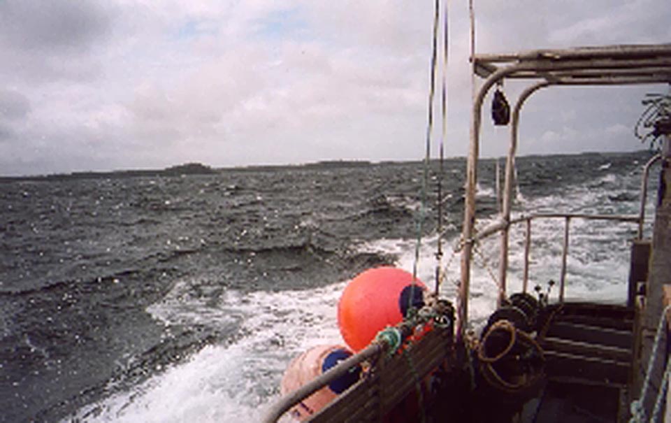 Rockfish Population Survey